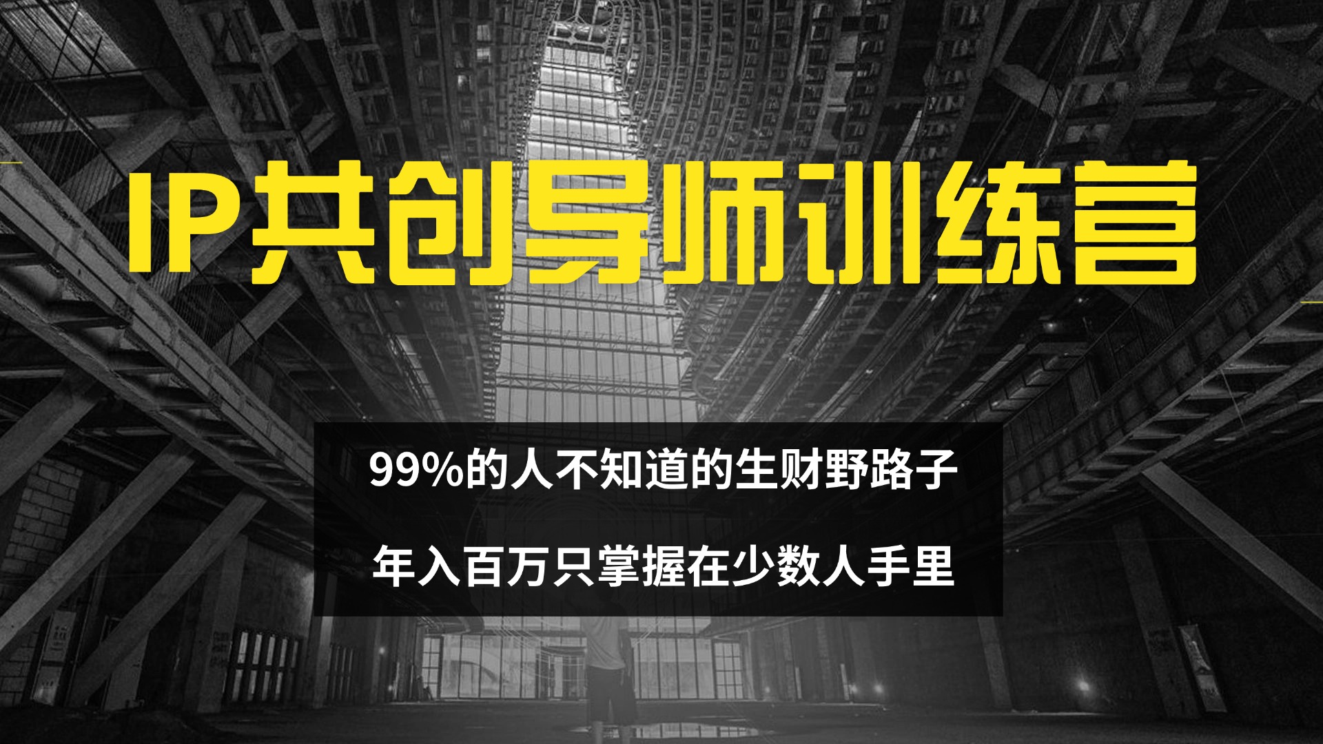 (12504期)IP共创导师训练营 99%的人不知道的生财野路子 只掌握在少数人手里-解忧云网络