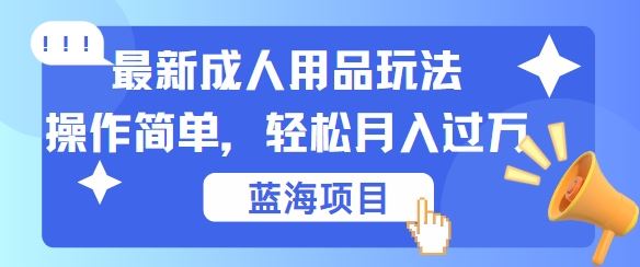 最新成人用品项目玩法,操作简单,动动手,轻松日入几张【揭秘】-解忧云网络