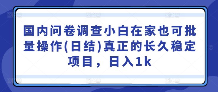 国内问卷调查小白在家也可批量操作(日结)真正的长久稳定项目,日入1k【揭秘】-解忧云网络