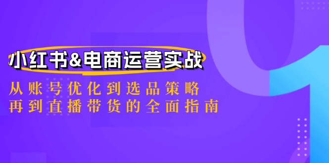 (12670期)小红书&电商运营实战:从账号优化到选品策略,再到直播带货的全面指南-解忧云网络