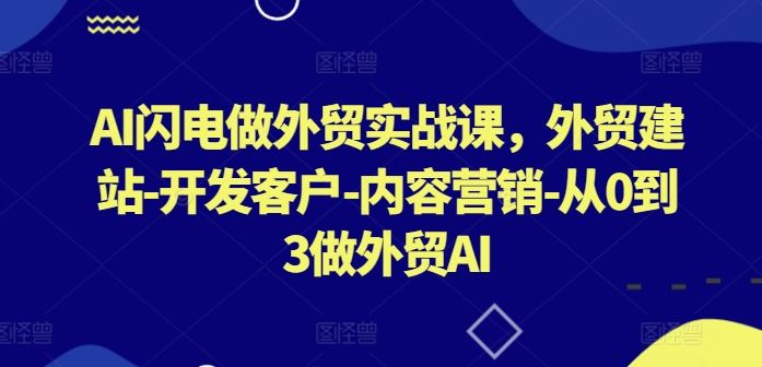 AI闪电做外贸实战课,外贸建站-开发客户-内容营销-从0到3做外贸AI(更新)-解忧云网络