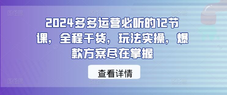 2024多多运营必听的12节课,全程干货,玩法实操,爆款方案尽在掌握-解忧云网络