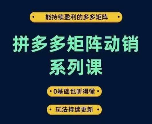 拼多多矩阵动销系列课,能持续盈利的多多矩阵,0基础也听得懂,玩法持续更新-解忧云网络