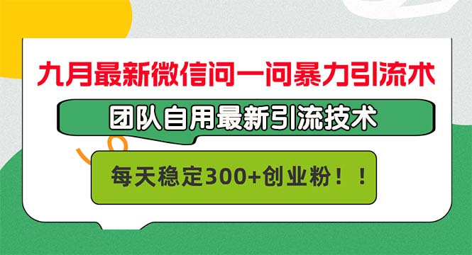 (12735期)九月最新微信问一问暴力引流术,团队自用引流术,每天稳定300+创…-解忧云网络