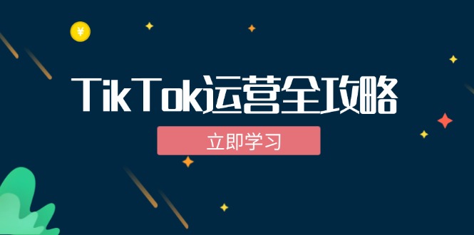 (12739期)TikTok实战运营全攻略:从下载软件到变现,抖音海外版实操教程-解忧云网络