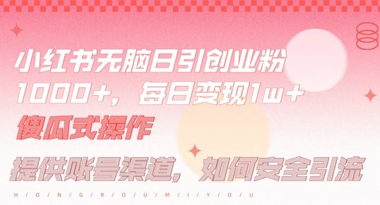 小红书无脑每日引流创业粉500+,小白每天只花半小时,躺赚长尾收益【揭秘】-解忧云网络