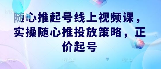 随心推起号线上视频课,实操随心推投放策略,正价起号-解忧云网络