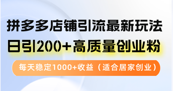 (12893期)拼多多店铺引流最新玩法,日引200+高质量创业粉,每天稳定1000+收益(…-解忧云网络