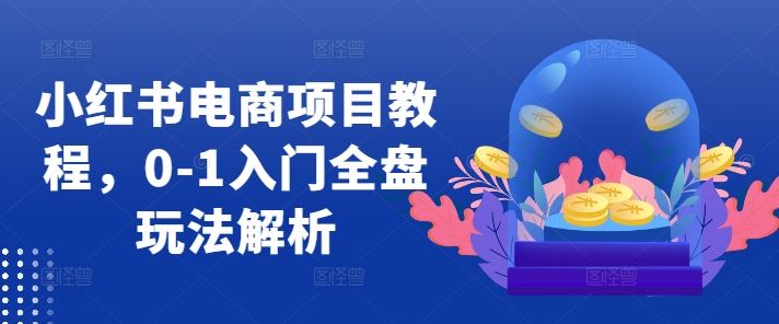 小红书电商项目教程,0-1入门全盘玩法解析-解忧云网络