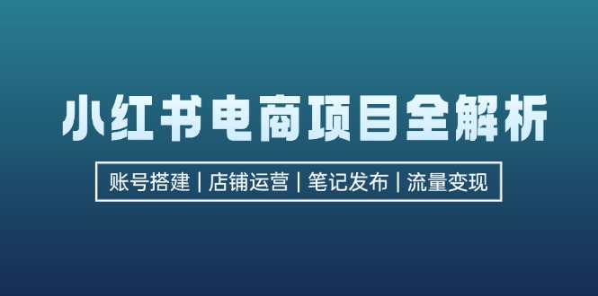 (12915期)小红书电商项目全解析,包括账号搭建、店铺运营、笔记发布  实现流量变现-解忧云网络