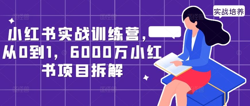 小红书实战训练营,从0到1,6000万小红书项目拆解-解忧云网络