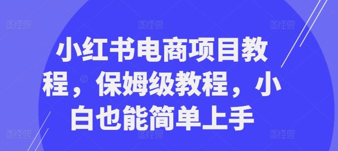 小红书电商项目教程,保姆级教程,小白也能简单上手-解忧云网络