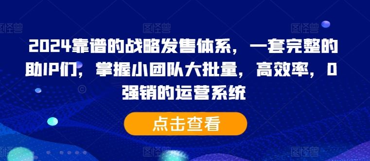 2024靠谱的战略发售体系,一套完整的助IP们,掌握小团队大批量,高效率,0 强销的运营系统-解忧云网络