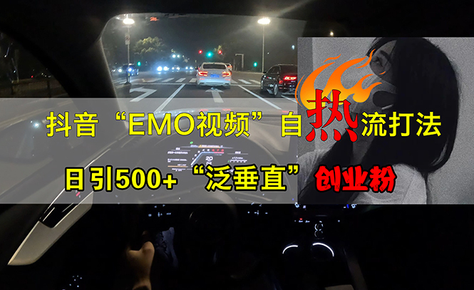 (13029期)抖音EMO视频自热打法,日引500+“泛垂直”创业粉-解忧云网络