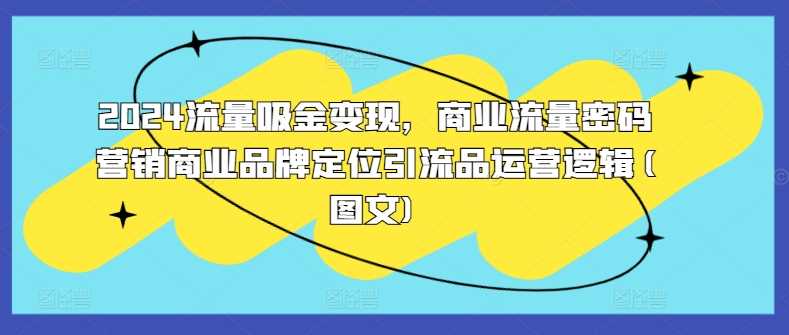 2024流量吸金变现,商业流量密码营销商业品牌定位引流品运营逻辑(图文)-解忧云网络