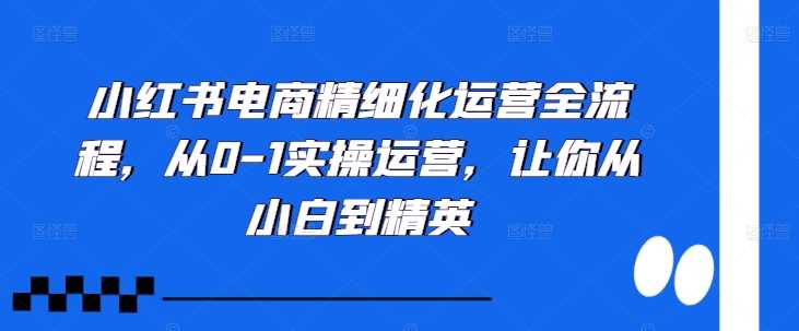 小红书电商精细化运营全流程,从0-1实操运营,让你从小白到精英-解忧云网络