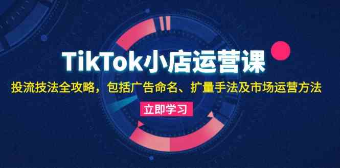TikTok小店运营课:投流技法全攻略,包括广告命名 扩量手法及市场运营方法-解忧云网络