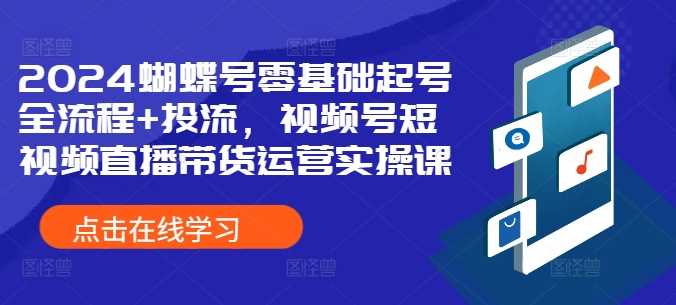 2024蝴蝶号零基础起号全流程+投流,视频号短视频直播带货运营实操课-解忧云网络