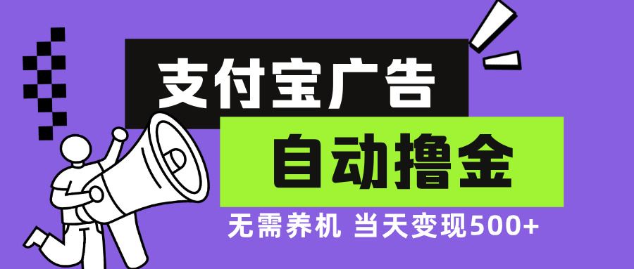 (13101期)支付宝广告全自动撸金,无需养机,当天落地500+-解忧云网络