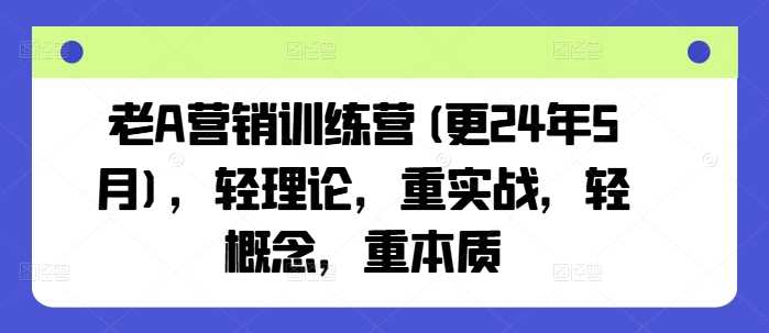 老A营销训练营(更24年10月),轻理论,重实战,轻概念,重本质-解忧云网络
