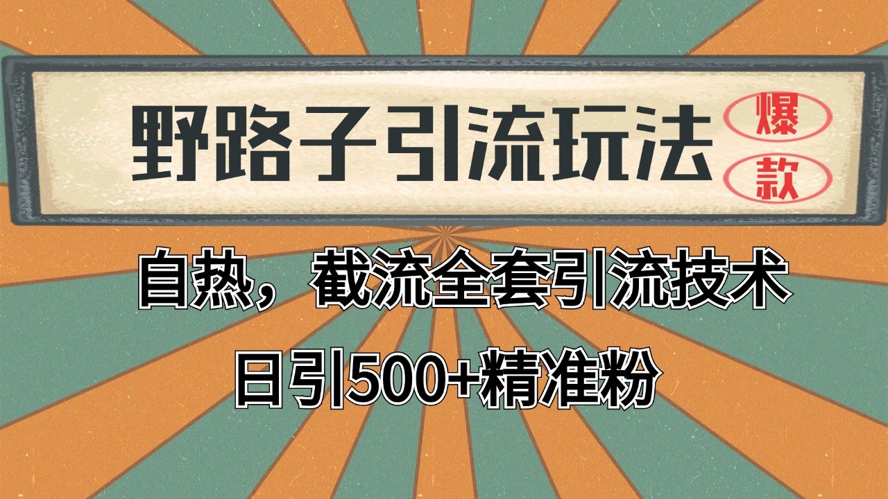 抖音小红书视频号全平台引流打法,全自动引流日引2000+精准客户-解忧云网络