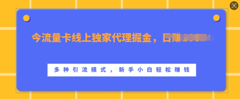 流量卡线上独家代理掘金,日入1k+ ,多种引流模式,新手小白轻松上手【揭秘】-解忧云网络