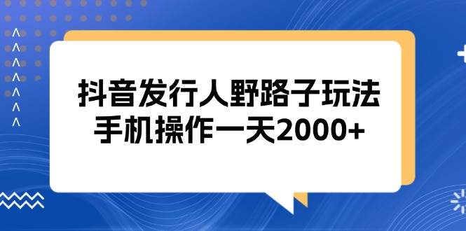 (13220期)抖音发行人野路子玩法,手机操作一天2000+-解忧云网络