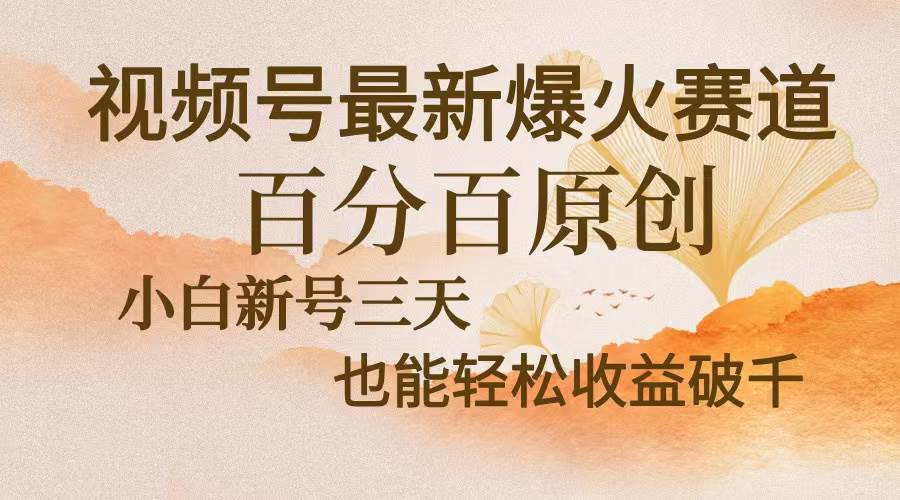 (13225期)视频号最新爆火赛道,中老年粉深信不疑,百分百原创,新号三天收益轻松…-解忧云网络