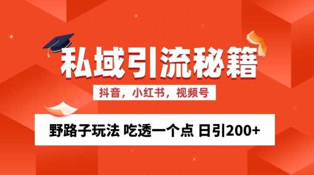 私域流量的精准化获客方法 野路子玩法 吃透一个点 日引200+ 【揭秘】-解忧云网络