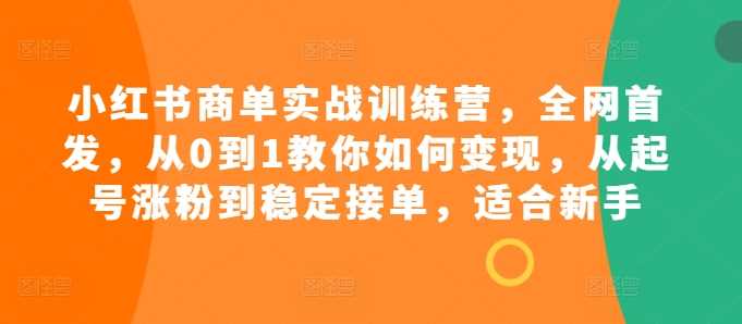 小红书商单实战训练营,全网首发,从0到1教你如何变现,从起号涨粉到稳定接单,适合新手-解忧云网络