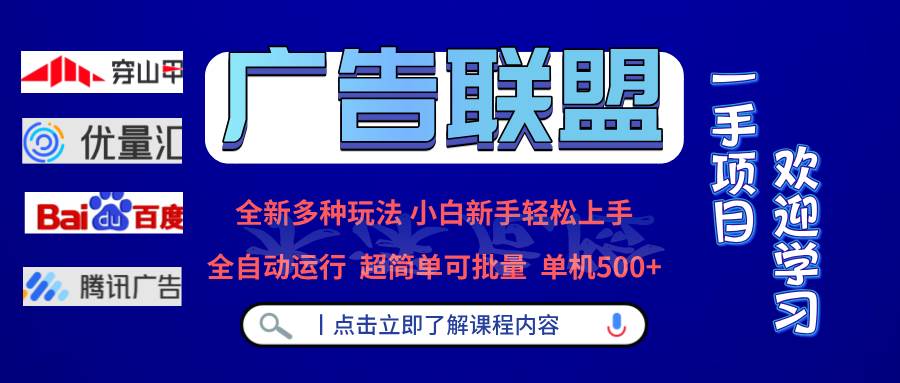 (13258期)广告联盟 全新多种玩法 单机500+  全自动运行  可批量运行-解忧云网络