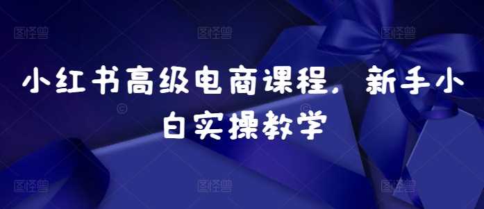 小红书高级电商课程,新手小白实操教学-解忧云网络