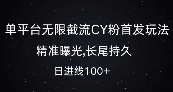 单平台无限截流创业粉首发玩法,精准曝光,长尾持久,日引流100+【揭秘】-解忧云网络