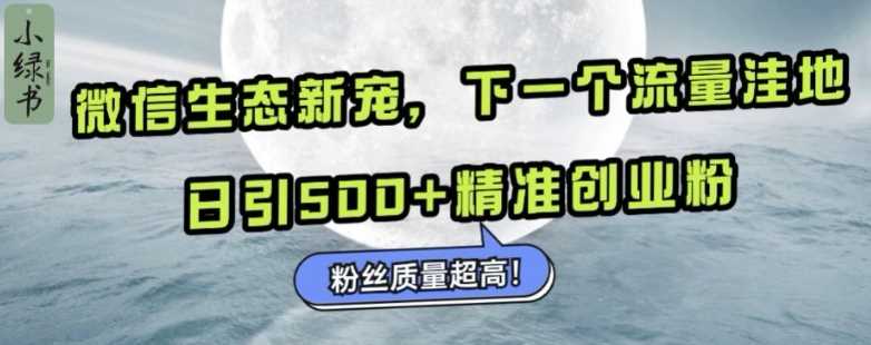 微信生态新宠小绿书:下一个流量洼地,日引500+精准创业粉,粉丝质量超高-解忧云网络