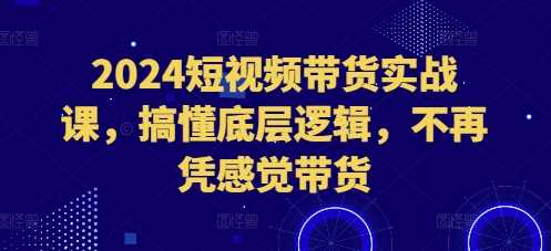 2024短视频带货实战课,搞懂底层逻辑,不再凭感觉带货-解忧云网络