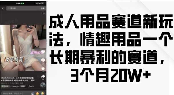 成人用品赛道新玩法,情趣用品一个长期暴利的赛道,3个月收益20个【揭秘】-解忧云网络