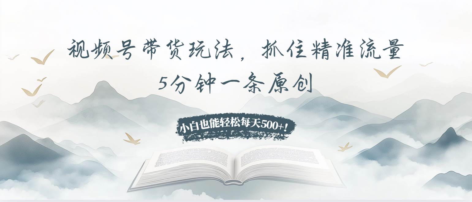 (13492期)视频号带货玩法,抓住精准流量,5分钟一条原创,小白也能轻松每天500+!-解忧云网络