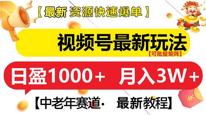 (13530期)视频号最新玩法 中老年赛道 月入3W+-解忧云网络