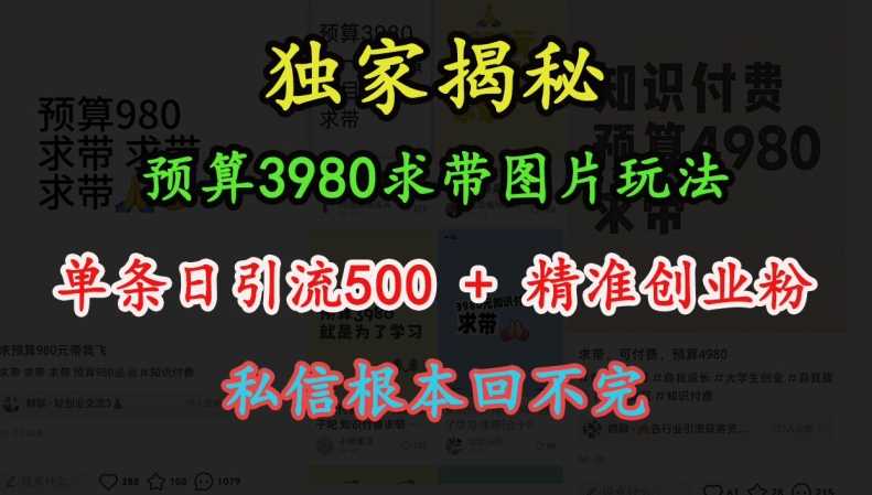 预算3980求带 图片玩法,单条日引流500+精准创业粉,私信根本回不完-解忧云网络