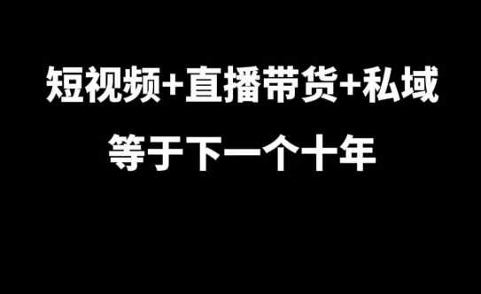 短视频+直播带货+私域等于下一个十年,大佬7年实战经验总结-解忧云网络