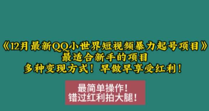 12月最新QQ小世界短视频暴力起号项目,最适合新手的项目,多种变现方式-解忧云网络