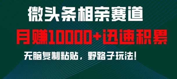 微头条相亲赛道,迅速积累,无脑复制粘贴,野路子玩法,月入1w-解忧云网络