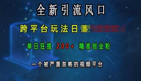 全新引流风口,跨平台玩法日入上k,单日狂揽200+精准创业粉,一个被严重忽略的视频平台-解忧云网络
