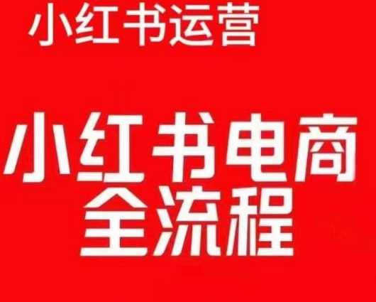 红薯电商实操课,小红书电商全流程-解忧云网络