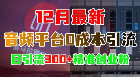 12月最新:音频平台0成本引流,日引流300+精准创业粉-解忧云网络