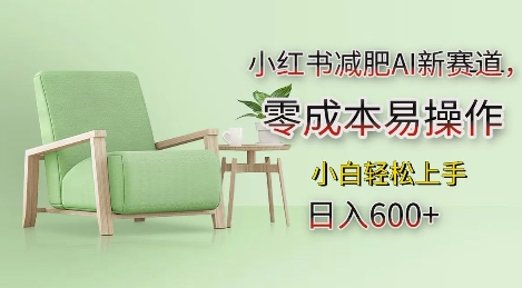 小红书减肥AI新赛道,零成本易操作,日入多张,小白轻松上手【揭秘】-解忧云网络