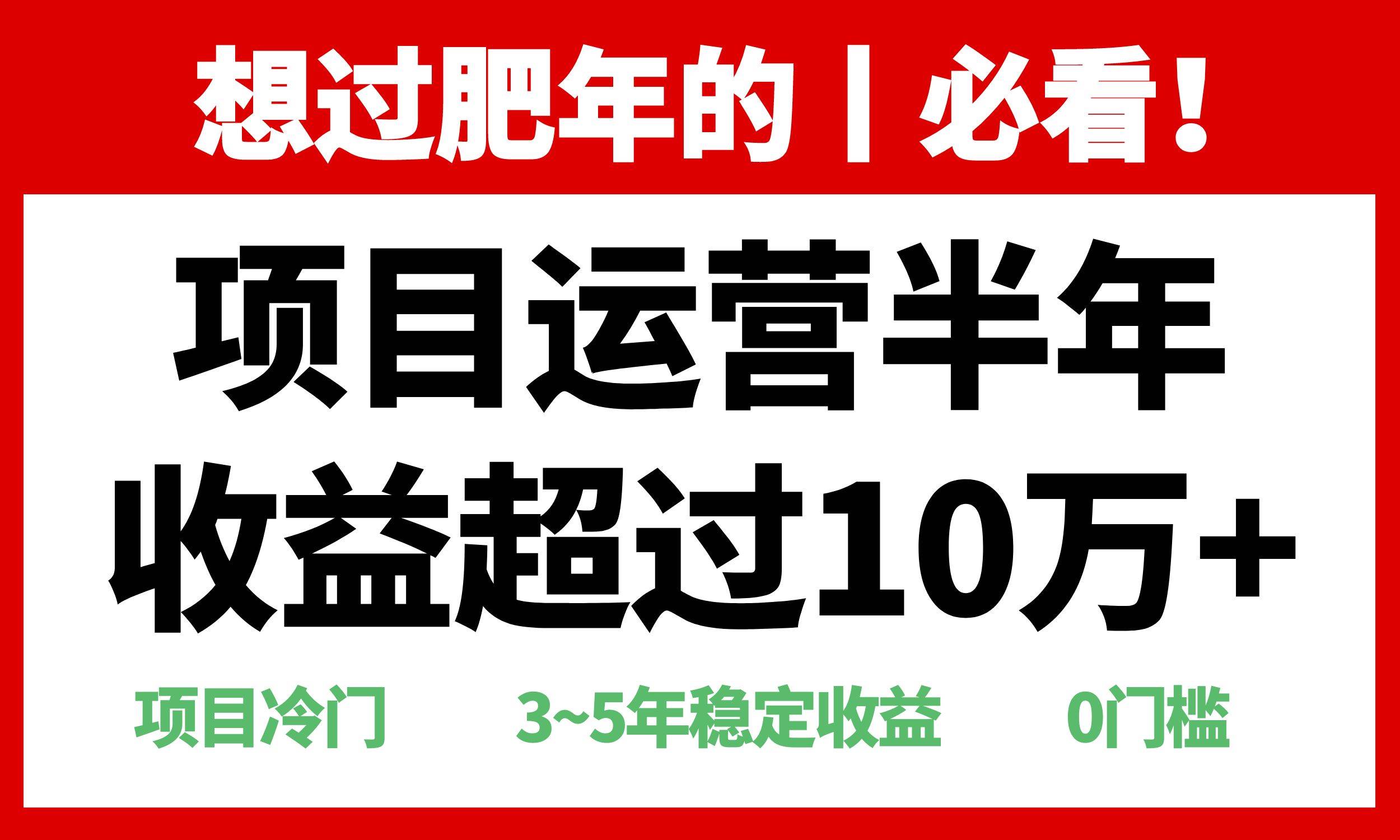 (13663期)年前过肥年的必看的超冷门项目,半年收益超过10万+,-解忧云网络