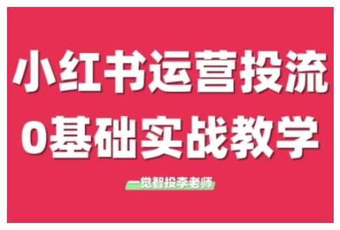 小红书运营投流,小红书广告投放从0到1的实战课,学完即可开始投放-解忧云网络