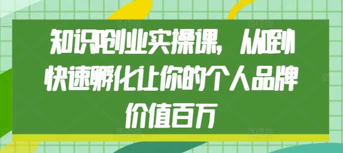 知识IP创业实操课,从0到1快速孵化让你的个人品牌价值百万-解忧云网络