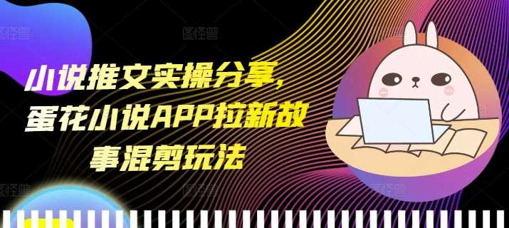 小说推文实操分享,蛋花小说APP拉新故事混剪玩法-解忧云网络